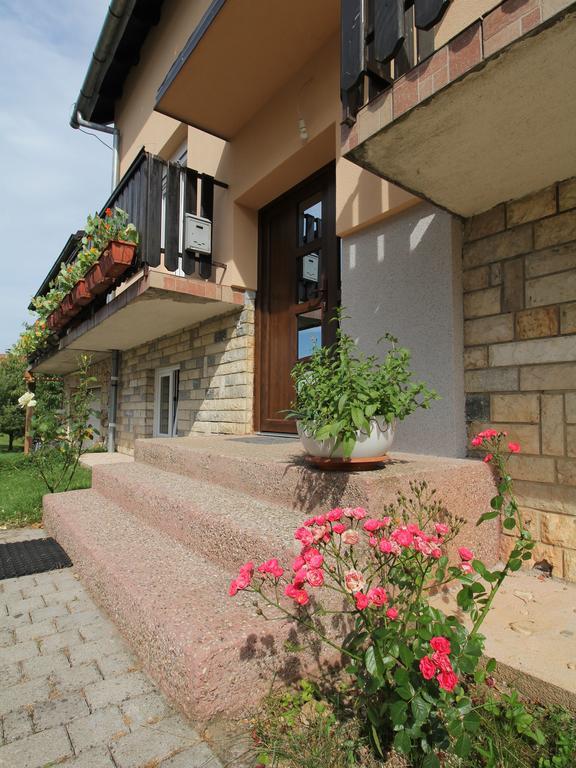 Apartments Jancic Грабовац Екстериор снимка